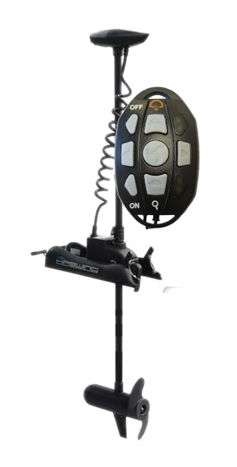 Haswing Cayman 80B v.2