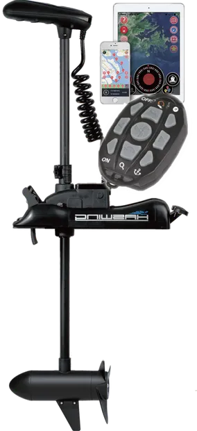Cayman 55B GPS
